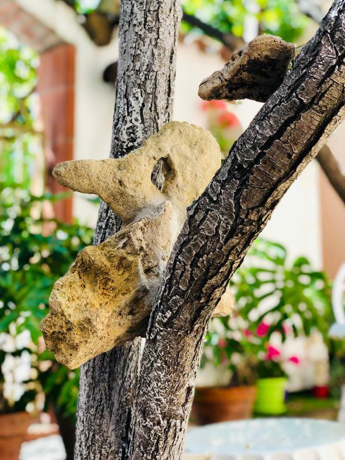 Domo All'Antico Borgo 奥里斯塔诺 外观 照片